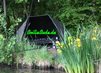 Zelte, Brollies und Schirme