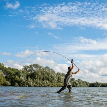 Avid Carp Amplify Rod 12ft 3oz-5oz
