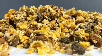 Carp Crunchies Cooked & Dryed Particles 2,5kg