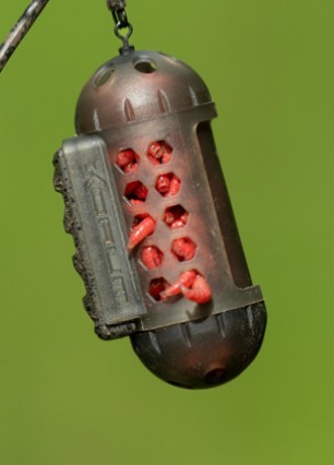 Korum Fishing Window Maggot Feeder Large 60gr.