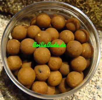 Nashbait Scopex Squid Hard On´s 12mm, 100gr.