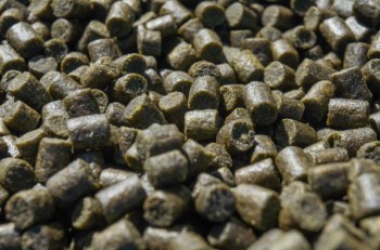 Sonubaits Marine Green Feed Pellets 6mm