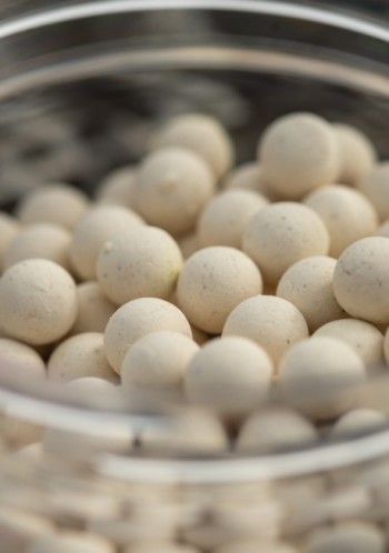 Sonubaits Spike'um Wafters Pineapple & Coconut