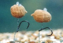 Enterprise Tackle Pop Up Tiger Nut Enterprise Tackle Pop Up Tiger Nut