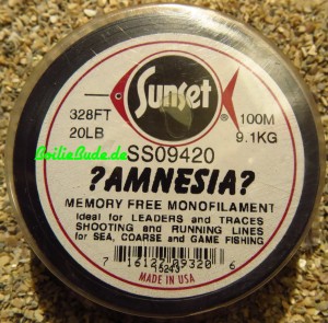 Amnesia Clear 20LB, 100m,  Leader, Schlagschnur