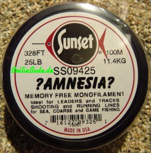 Amnesia Clear 25LB, 100m,  Leader, Schlagschnur