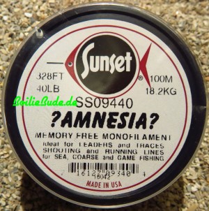 Amnesia Clear 40LB, 100m,  Leader, Schlagschnur