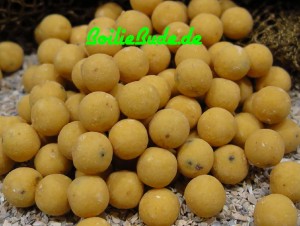 DT Baits Cold Water Tutti Frutti Boilies 5kg