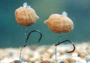 Enterprise Tackle Pop Up Tiger Nut