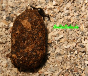 G-Force Tackle Swivel Flat´N Square 2oz Silt
