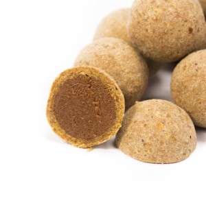 Nashbait Scopex Squid Cult Coated Hookbaits 24mm