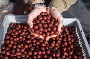 Nutrabaits Big Fish Mix Salmon, Caviar & Black Pepper Soluble Boilies