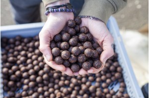 Nutrabaits CO-DE Soluble Boilies 3,5kg