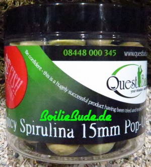 Quest Baits Spicy Spirulina Pop Up´s 15mm