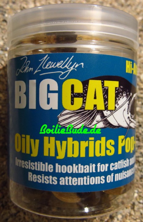 Big Cat Hybrids Oily Pop Ups 24mm