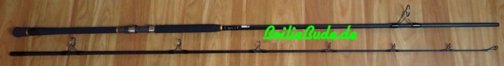 Free Spirit Fishing E Sport Cat Rod in 10ft 100-300gr, Welsrute