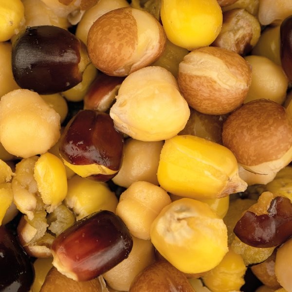 NashBait Large Seed Mix 0.5l